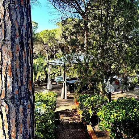 Grace House * Marina di Sorso
